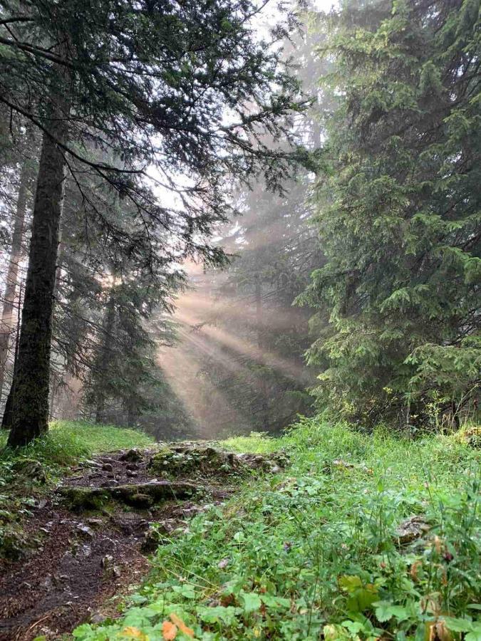 Vikendica Borje Βίλα Žabljak Εξωτερικό φωτογραφία