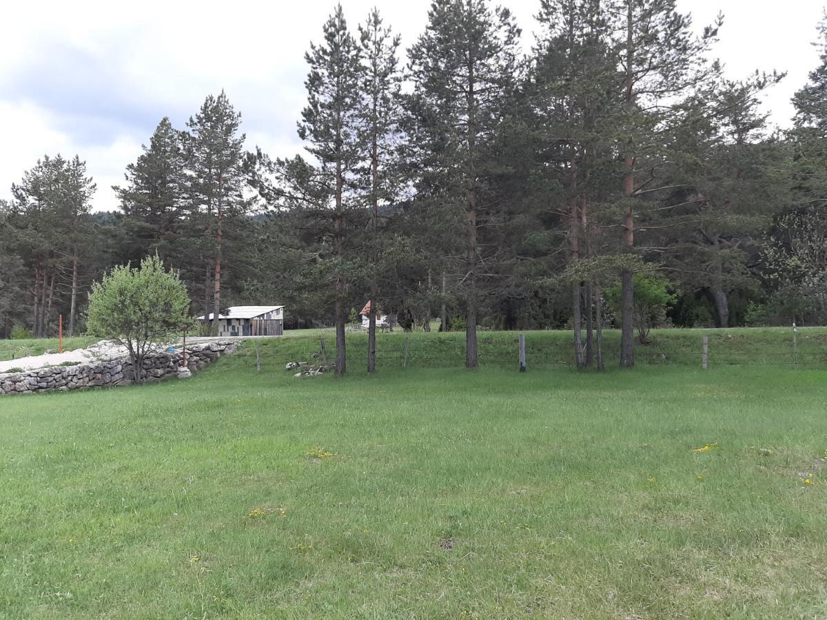 Vikendica Borje Βίλα Žabljak Εξωτερικό φωτογραφία